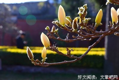 如诗如画