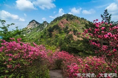 《月事革命》好看吗？经典观后感10篇