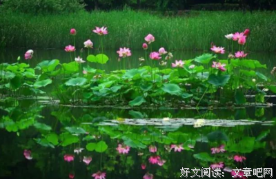 最新的《腾空的日子》名句欣赏