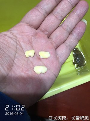生命短暂，我没有时间讨厌你。