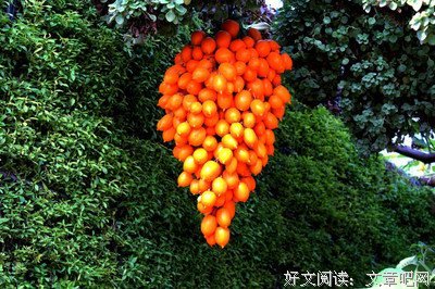 做人，要有涵养