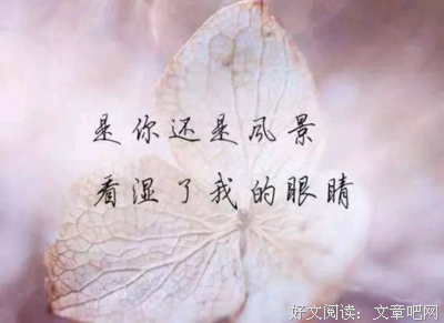 关于不能自拔的语句