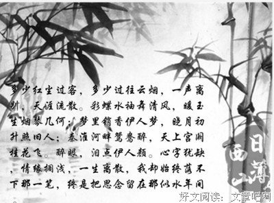 关于你一她都会了看当再心不是过客的句子