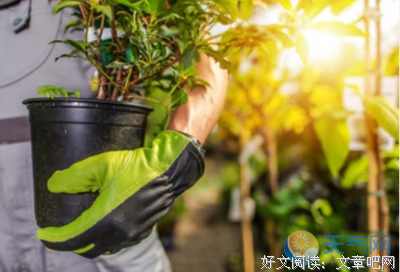 唯美好词好句