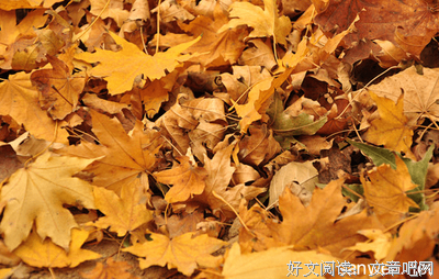 关于努觉能吧的优美句子