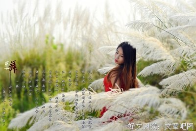 《酒觞》的句子