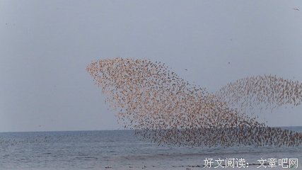 海阔凭鱼跃的名言_关于海阔凭鱼跃的名言