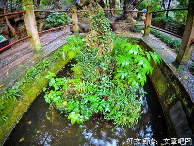 关于幡然醒悟的名言