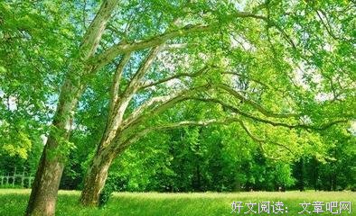 《哲并始当说》的句子