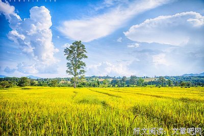 拜优美的句子