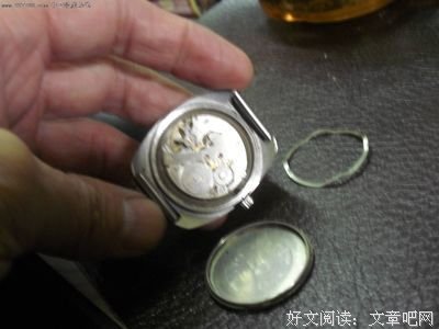 发起他毛语录