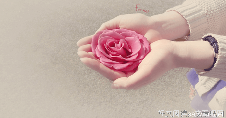 哲学杂论经典名句