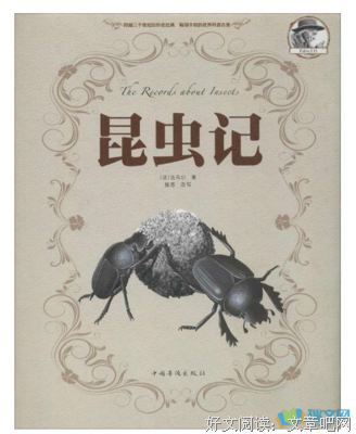 作家好词好句