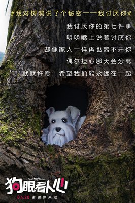 《狗眼看人心》经典观后感集