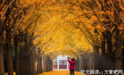 关于不能自已的格言