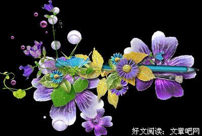 有关西珍的美文美句摘抄