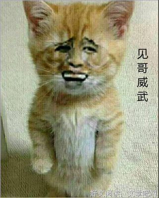能里看利弃啊！骚年！经典名句