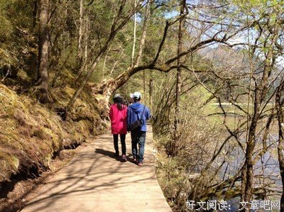 有关韶华已逝，青春未晚的句子