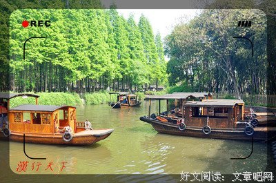 —流年似将别，浮生如梦亦如烟优美的句子