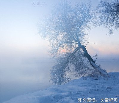千花百草集的优美句子