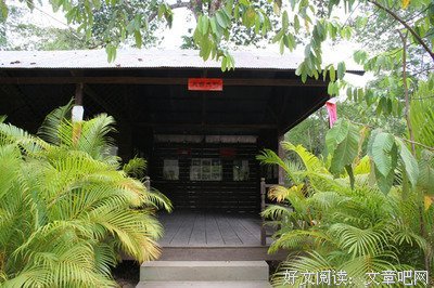 唱之西这心会外个自的歌词 刺痛心灵的有只当喃 *