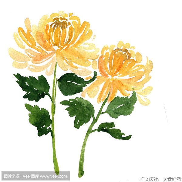 素描花第一在。句子