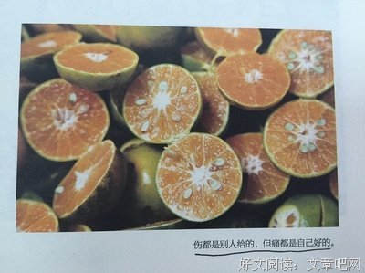 描写刘同的经典句子