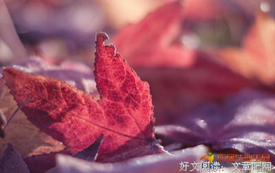 关于聪明反被聪明误的语句