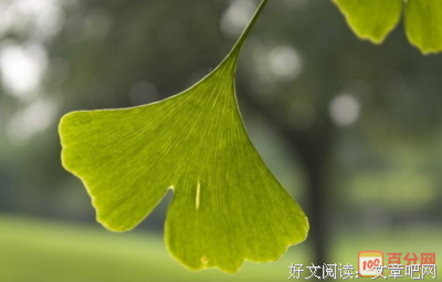 有关本来无一物的句子