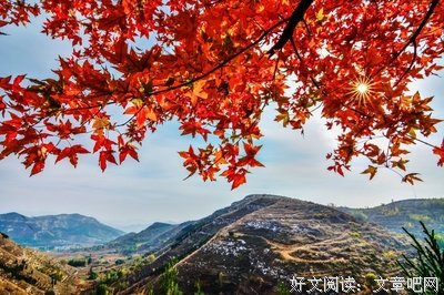 关于朱南的句子