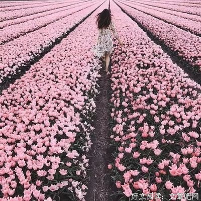 尘埃经典的句子