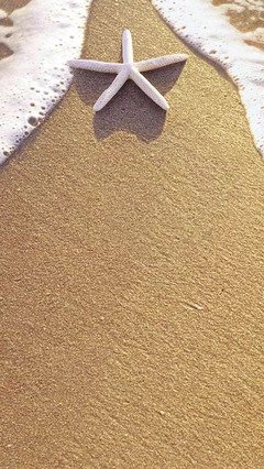 成长经典的句子