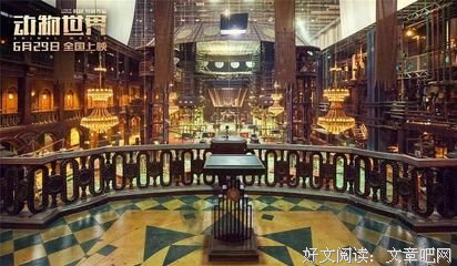 《第25届上海电视节颁奖典礼》影评精选10篇