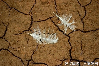 智子的名人名言