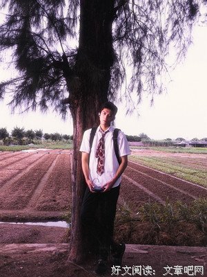 关于莉莉的唯美语录