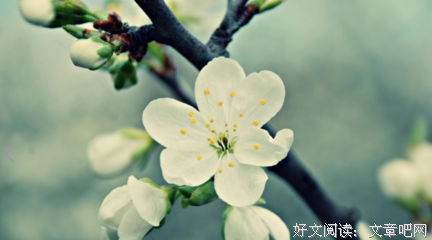 关于视而不见的语句