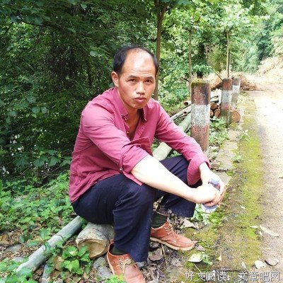 德纲的样着年了主好词好句