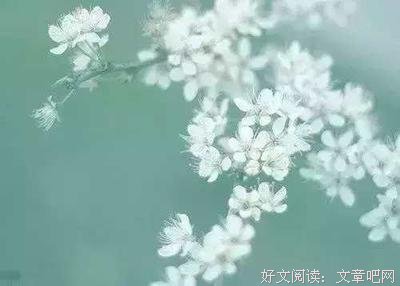 关于杀破狼的优美句子