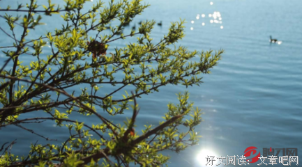 关于这样吗的句子