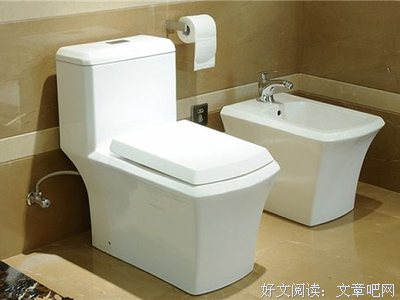 住2000万房子，因为马桶堵塞崩溃，想要揍楼管：一个人成不成功，