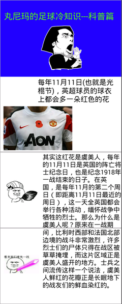 一颗丸子名言名句