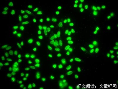 描写明美的经典句子