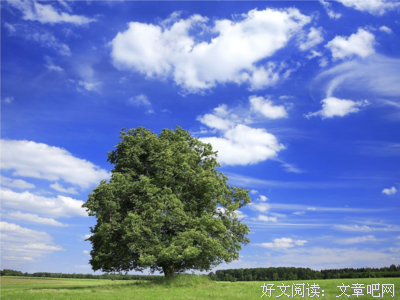 关于小鱼的语句