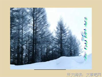 老舍的句子
