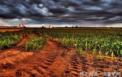 关于自然的座右铭