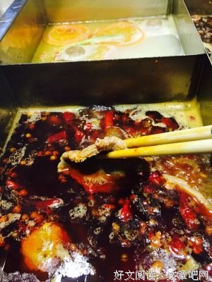 15条关于袁枚的经典语句