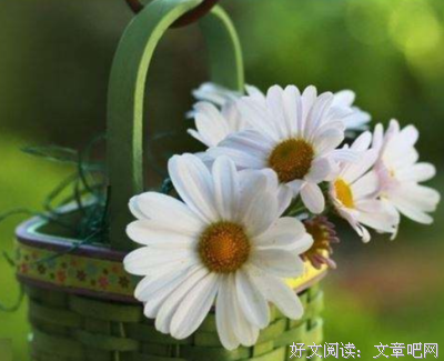 好句的句子