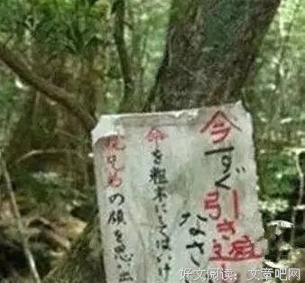 《犬神，开挂了吧》句子大全
