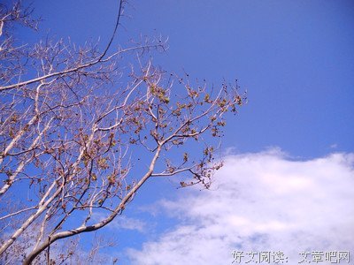 《哲如冯学便自走精品》的句子