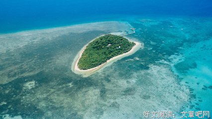 扶摇优美的句子